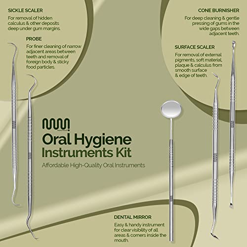 6 Pack Dental Tools Teeth Cleaning Kit, Plaque Tartar Remover for Teeth and Oral Care for Adults, Kids and Pets, Includes Tongue Scraper, Mirror, Probe, 100% Stainless Steel Dental Kit with Case