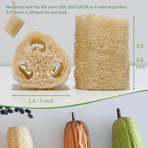 Natural Loofah Sponge, Organic Bath Loofah Pack, Lufas Exfoliating Body Scrubber, Loofas Sponges Shower Loofah for Women and Men, Skin SPA Ecotools- 6 Pack
