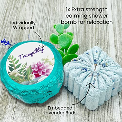 Variety Shower Bomb Collection (5pk) – Essential Oil Aromatherapy Shower Tablets for Stress, Relaxation, Mood Lift, Energy and Open Airways | Secret Santa Christmas Gift Idea (No Bomb Bag)