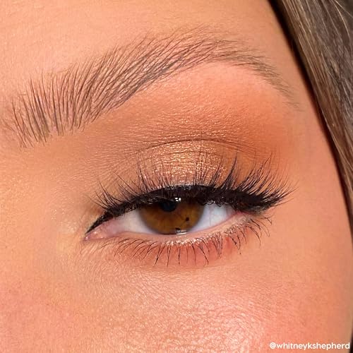 ColourPop Eyeshadow Palette - Eye Makeup Palette with Matte, Metallic, Matte Sparkle & Glitter Finishes - High-Pigment Eye Makeup with a Long-Wearing Formula - Bare Necessities (0.04 oz)