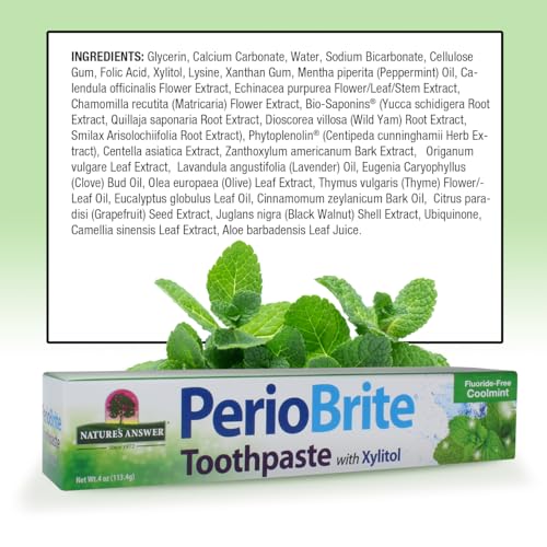 Nature's Answer PerioBrite Toothpaste, Cool Mint, 4-Ounce (Pack of 2) Fluoride Free with CoQ10 & Folic Acid | Whitens Teeth | Freshens Breath | Removes Plaque | Minimizes Dry Mouth