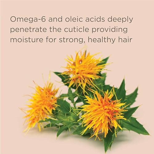 Hairitage Pass on the Brass Purple Shampoo and Conditioner for Color-Treated Hair - Corrects Brassy Tones, Moisturizes Blonde and Gray Hair Ends - 13 oz