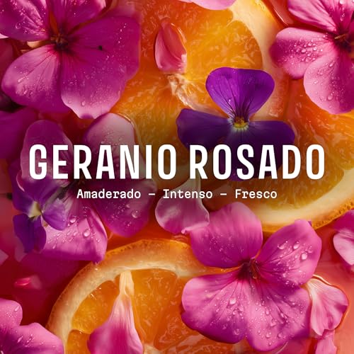 Panier des Sens - Rose Geranium Eau de Toilette 1.7 Floz – Enveloping & Floral Fragrance - Daily Light Perfume for Women - Parfum Crafted in Grasse, France - Elegant Packaging Perfect Gifts for Her