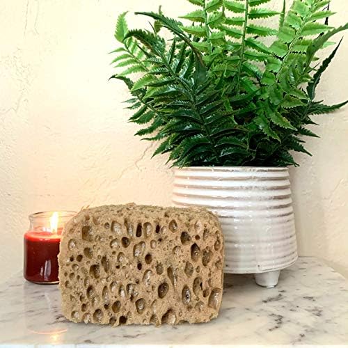 Michelle's Melting Pot Foam Bath Sponge Shower Sponge 3 Count (Tan Exfoliating)