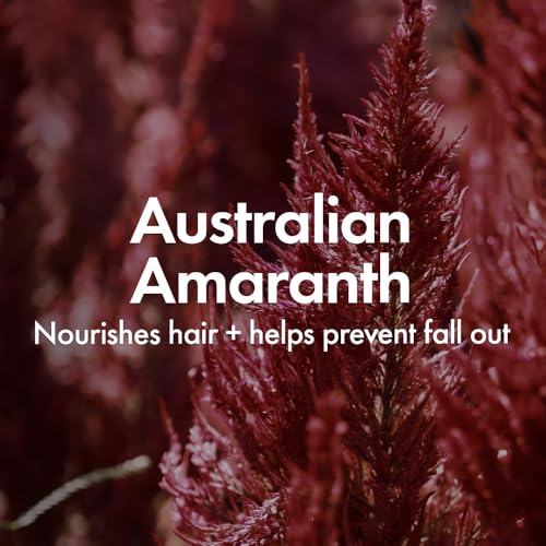 BONDIBOOST Thickening Shampoo [16.90 fl oz]