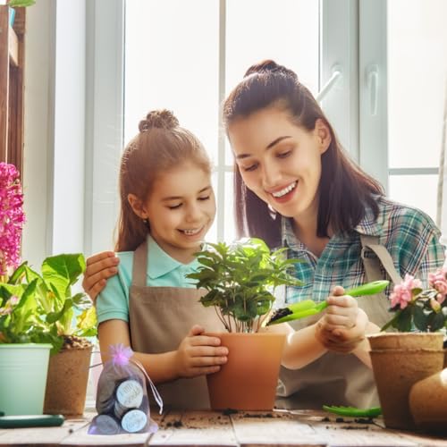 Affirmation Wooden Tokens, Set of 50 Engraved Positive Reminders, Natural Baltic Birch Wood, Ideal for Mother's Day, Christmas, Birthday Gifts