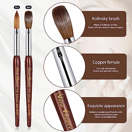 Acrylic Nail Art Brush - Size 16, 100% Pure Kolinsky Hair Oval Nail Brush for Professional Acrylic Application, DIY Home Salon