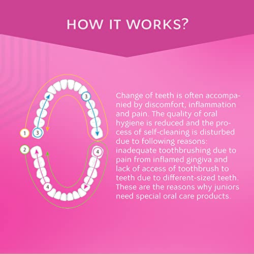R.O.C.S. Junior Toothpaste - Enamel Whitening Teeth Gum Protection - for Children 6-12 Years Old - Safe to Swallow - Natural, No Fluoride or Sulfate (Berry Mix, Pack of 1)