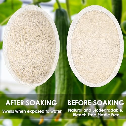 Natural Loofah Sponge Exfoliating Body Scrubber, Organic Biodegradable Eco-Friendly Bath Luffa Sponges for All Skin Types, Men Women Gift (1 Thick + 2 Thin)