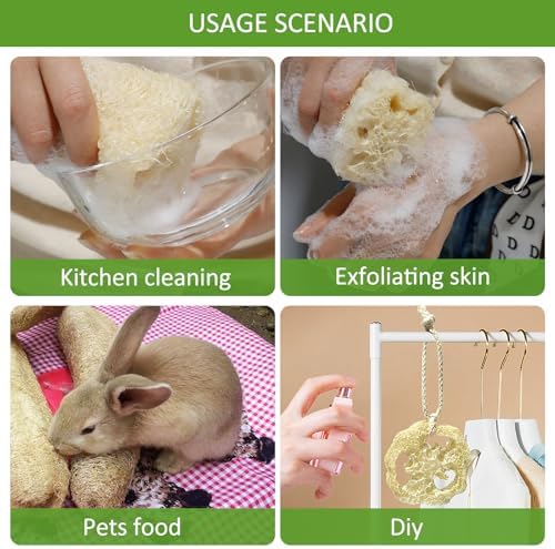 Natural Loofah Sponge, Organic Bath Loofah Pack, Lufas Exfoliating Body Scrubber, Loofas Sponges Shower Loofah for Women and Men, Skin SPA Ecotools- 6 Pack