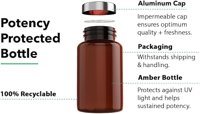 Vitamin Bounty Elderberry Immune Support - with Zinc, Vitamin C & Echinacea, Advanced 5-in-1 Blend, Powerful Antioxidant, Supports Whole Body Balance, Non-GMO - 60 Capsules, 2 Pack