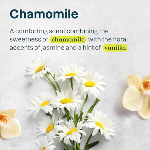 ATTITUDE Hair Conditioner for Sensitive Dry Scalp, For Thin Hair, Soothing Oat, Naturally Derived Ingredients, Dermatologically Tested, Vegan Detangler, Volume and Shine, 8 Fl Oz