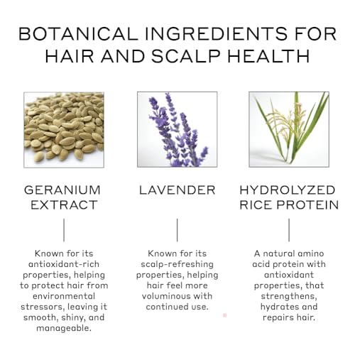 ZENAGEN Volume Foam | Lightweight Densifier + Volumizer, Boosts Hair Volume & Thickness, Provides Lightweight Hold, Nourishes & Strengthens Hair, Non-Greasy Plant-Based, Vegan, All Hair Types, 7 oz