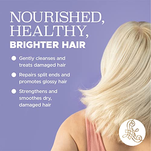 Luseta Purple Shampoo for Women - Blonde, Grey, Color Treated, Curly and Damaged Hair - 16.9oz, Sulfate & Paraben Free