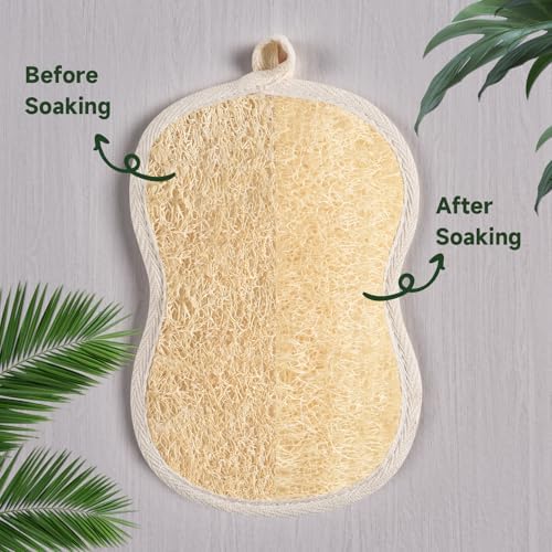 Natural Loofah Bath Sponges with Cotton Rope Exfoliating Body & Face Scrubber Reusable & Eco-Friendly,Soap Loofa Shape- Large 3PCS