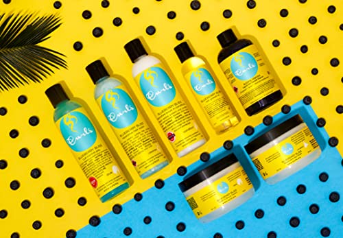 Curls Blueberry Bliss Twist-N-Shout Cream - 8 oz, for the Perfect Twist Outs and Braid Outs, for All Natural Types, Adds Sheen, Moisture, and Definition to Hair