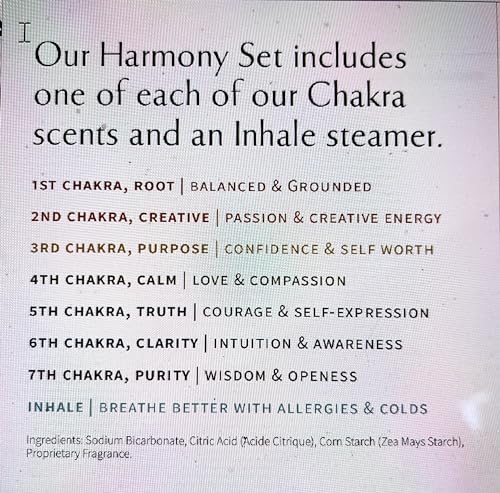 Shower Steamers for Women: Aromatherapy Bombs, Vapor Tablets, Individually Wrapped