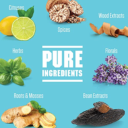 Original Musk & Hustle versions of Armani Code, Green Irish Tweed, Gucci Guilty, Acqua Di Gio Profumo, Eros Flame, Invictus & More, Pure Concentrated Oil Cologne