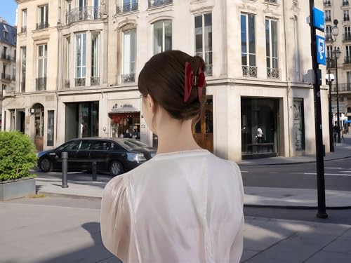 The OideGuiing Durable Acetate Hair Clips - 4-Inch Cherry Red Claw Clips for Fine and Thick Hair (Red)