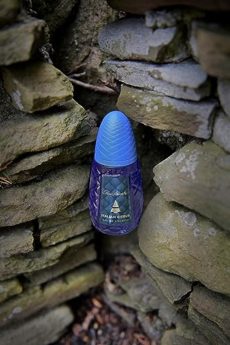 Italian Citrus by Pino Silvestre - Perfume for Men - Woody, Aromatic Scent - Blended with Lemon, Pine, Apple, Patchouli, and Musk - for Calm, Collective Gentlemen - 4.2 oz EDT Spray