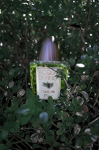 Acqua Di Pino Fougere By Pino Silvestre For Men - A Men's Eau De Toilette Cologne Perfume Spray With An Intense Fragrance For Every Guy - A Truly Male Musk For The Fierce Man In Your Life - 4.2 Oz