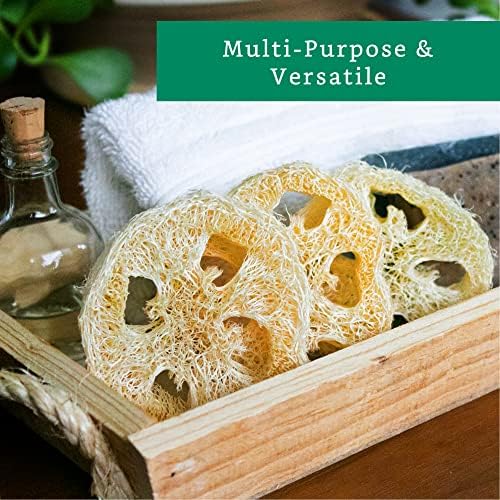 Natural Loofah Slices for Soap Making (20 Pack) - Organic Loufa Cuts - Bulk Luffa - Soap Making Supplies