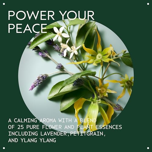 Aveda Heat Relief Thermal Protector & Conditioning Mist | Conditions Dry Hair | Adds Shine | Heat Protection | 97% Naturally Derived | Iconic Shampure Aroma, 3.4 Fl Oz