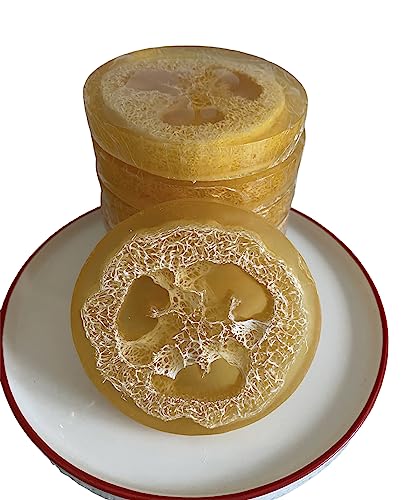 All Natural 2-in-1 Loofah and Soap - Brown Sugar Infused (scented)