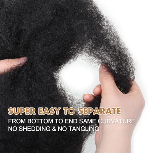 Afro Kinkys Bulk Human Hair, 12 inch 4c Kinky Curly Bundles Human Hair for Twist/Permanent Loc Extensions/Braiding/Repair Locs Can Dye and Bleach(50 Gram),Black