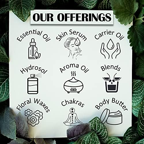 Pure NAR Kachur Essential Oil (Curcuma zedoaria) with Glass Dropper Steam Distilled 120ml (4 oz)