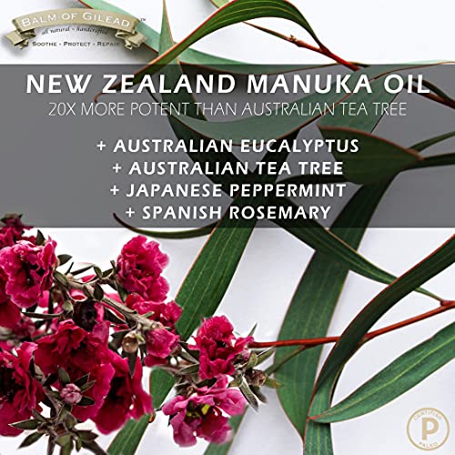 BALM OF GILEAD Tea Tree Balm - 2 fl oz Foot Cream with Tea Tree and Manuka Oil - Intensive Moisture for Itchy Feet, Eczema, Rashes & Dry Skin - Pure Balm That Softens Skin Irritations