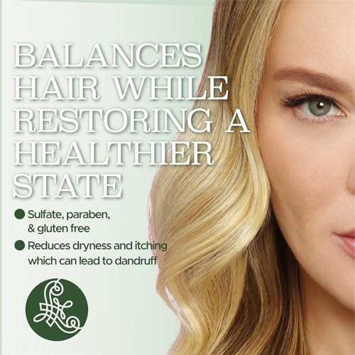 Luseta Tea Tree Shampoo with Argan Oil 16.9 Fl oz- Clarifying,Hydrating and Fighting Dandruff and Itchy Scalp - For Damaged and Oil Hair - Sulfate and Paraben Free for Men and Women