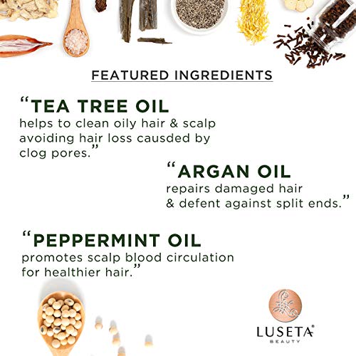 Luseta Tea Tree Shampoo with Argan Oil 16.9 Fl oz- Clarifying,Hydrating and Fighting Dandruff and Itchy Scalp - For Damaged and Oil Hair - Sulfate and Paraben Free for Men and Women