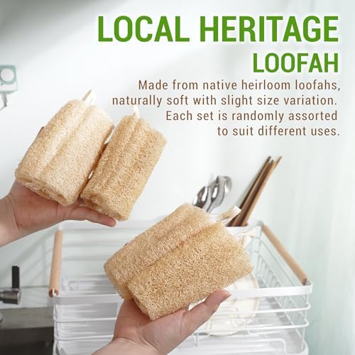 Natural Vietnamese Loofah Sponge, 100% Plant-Based Luffa Exfoliating Body Scrubber for Shower, Multi-Functional for Kitchen, Ideal for Men & Women, Spa & for Pet (6pcs/Pack)