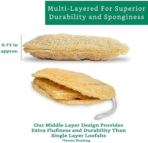 Natural Loofah Exfoliating Sponge (3 Pack) - Organic Body Scrubber - Biodegradable Shower Luffa