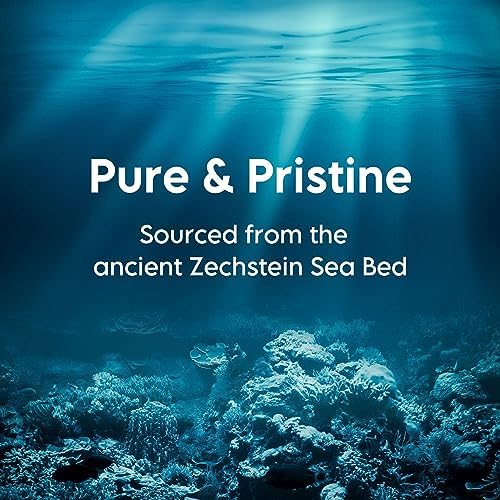 Deep Sea Minerals Magnesium Bath Flakes - 4.4 Lbs Jar, Zechstein Inside, Natural Bathing Alternative to Epsom Salt | Fast Absorbing Body & Foot Bath Soak for Relaxation & Muscle Relief