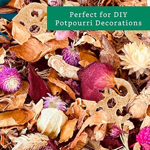 Natural Loofah Slices for Soap Making (20 Pack) - Organic Loufa Cuts - Bulk Luffa - Soap Making Supplies