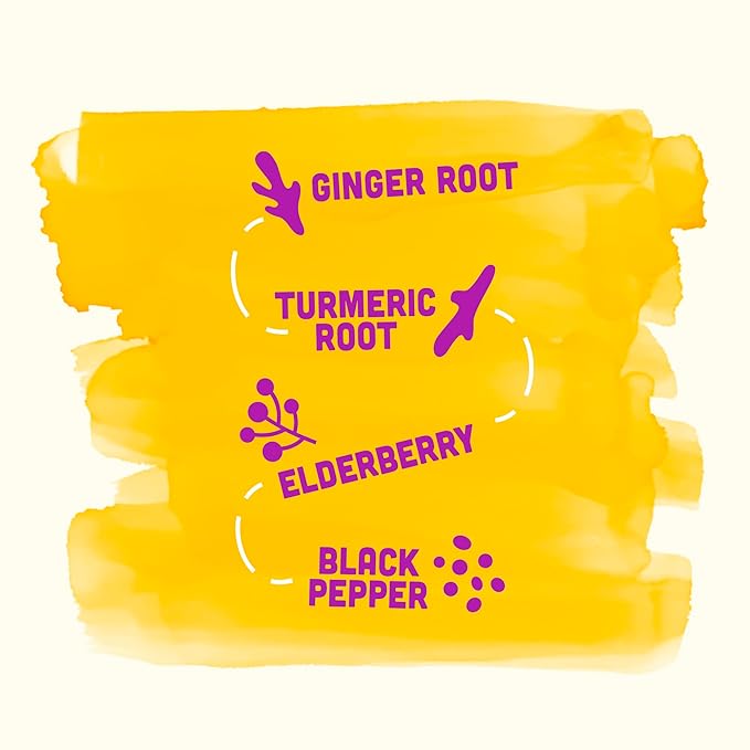 Vive Organic Immune Support Elderberry Shot, Cold-Pressed Turmeric & Ginger, Gluten Free, Vegan, Immunity Boost Elderberry, 2 Fl Oz (Pack of 12)