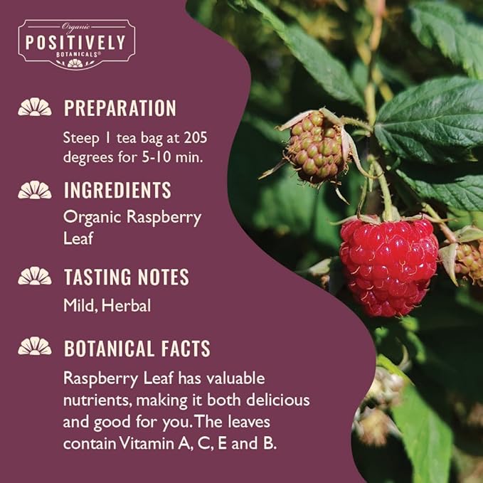 Organic Positively Botanicals Company, Raspberry Leaf Herbal Tea Bags, 20 Count