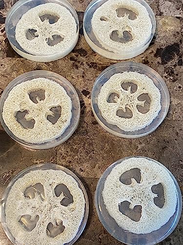 All Natural 2-in-1 Loofah and Soap - Brown Sugar Infused (scented)