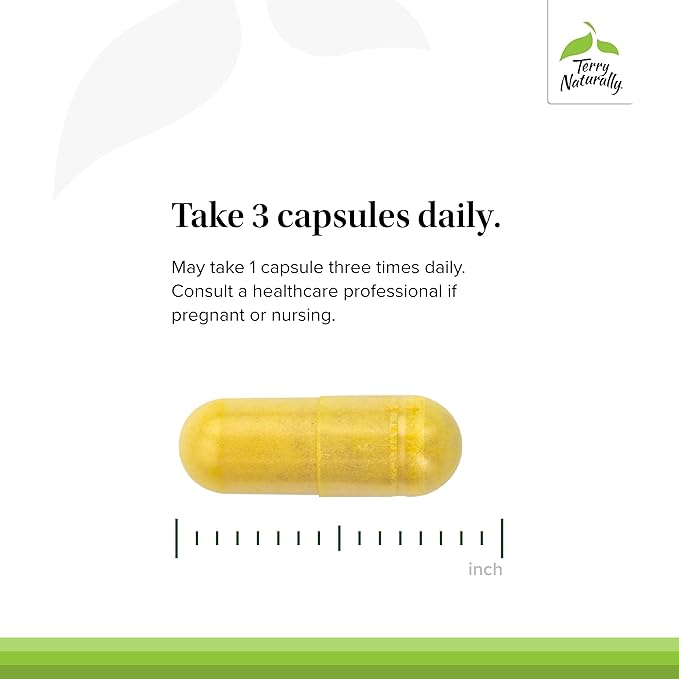 Terry Naturally Curamin Low Back Pain Relief - DLPA & Curcumin Supplement for Relief Support - Enhanced Absorption Curcumin Formula - Herbal Supplement with White Willow & Boswellia - 60 Capsules