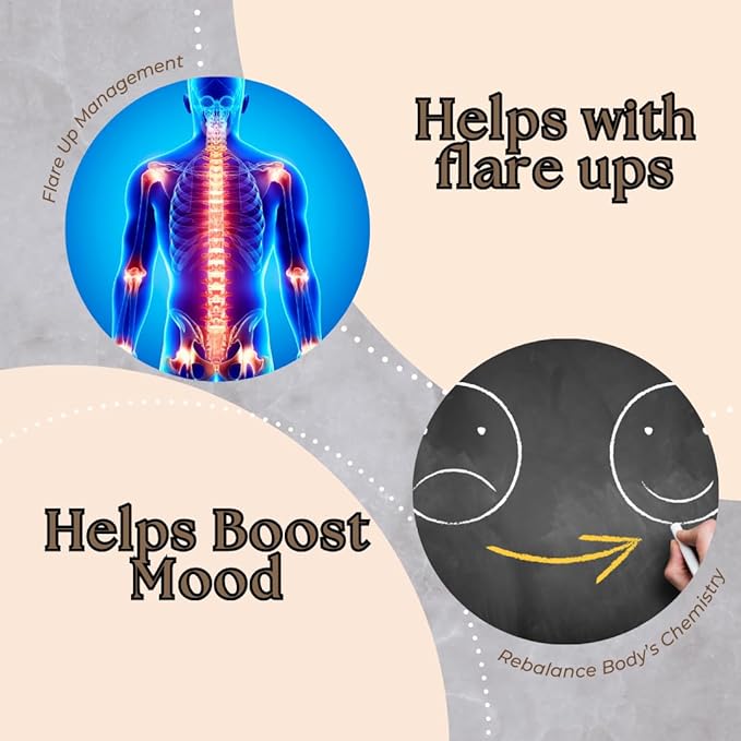 Research Labs Liposomal NMNH (NMN Supplement Alternative) 500mg Per Serving | 60 Capsules (Dihydronicotinamide Mononucleotide) NAD Supplement to Boost NAD+ Levels for Anti Aging