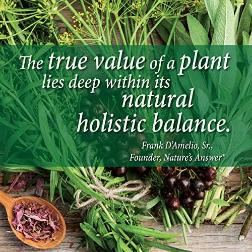 Nature's Answer Periobrite Natural Toothpaste, Cool Mint, 4 Ounce, 3 Count