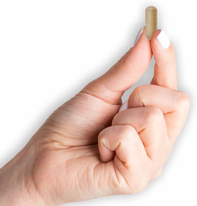 Mason Vitamins Ginkgo Biloba Leaves Powder, 500 mg per Capsule, 180 Gelatin Capsules