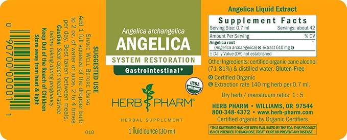 Herb Pharm Certified Organic Angelica Root Liquid Extract for Digestive Support, 1 Fl Oz