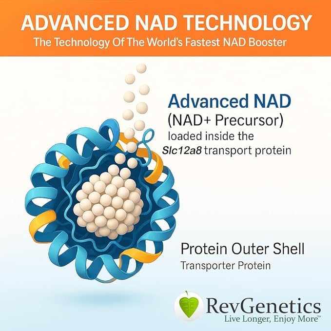 Advanced NAD Powder - Dietary Supplement, 147 Servings, Unisex, Vitamin B3 (NAD), 25 Grams