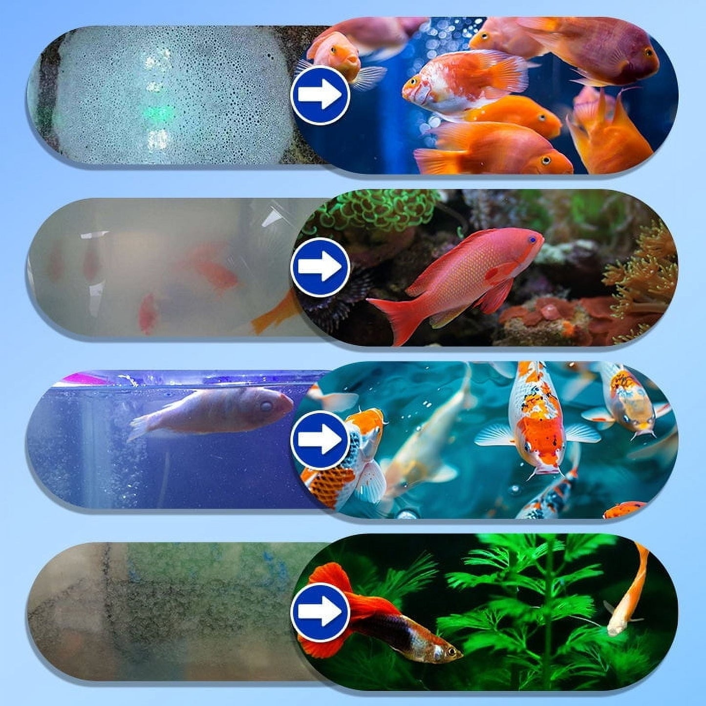 Fish Tank Water Purifier | Aquarium Water Cleaning Agent | Water Clarifying Treatment, Flocculant & Quality Stabilizer | Natural Safe Formula for Fish & Plants | 150ml Liquid Solution