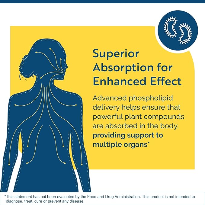 Researched Nutritionals Elim-A-Cand - Candida Support - Microbial & Gut Health Supplements with Berberine, Slippery Elm, Cinnamon Bark, PAU D'Arco & Marshmallow Root - Herbal Detox Tincture (4 Fl Oz)