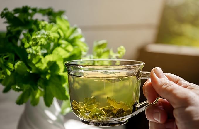 Skullcap Herb 28 Grams - Skullcap Tea - Skullcap Dried Herb- Scutellaria lateriflora Resealable Bag (Skullcap Herb)