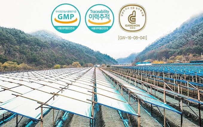 Gangwoninsam] Korean Red Ginseng Extract Gold 240g / 8.46 fl. oz – Contains 100% Pure Korean 6-Year-Old Red Ginseng Root Extract